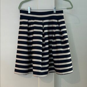 Striped Navy Blue and White Women's Skirt